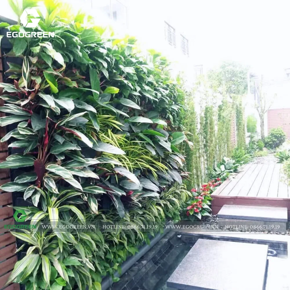 Giống cây trồng trên vườn treo rất phù hợp với nhà phố diện tích nhỏ.